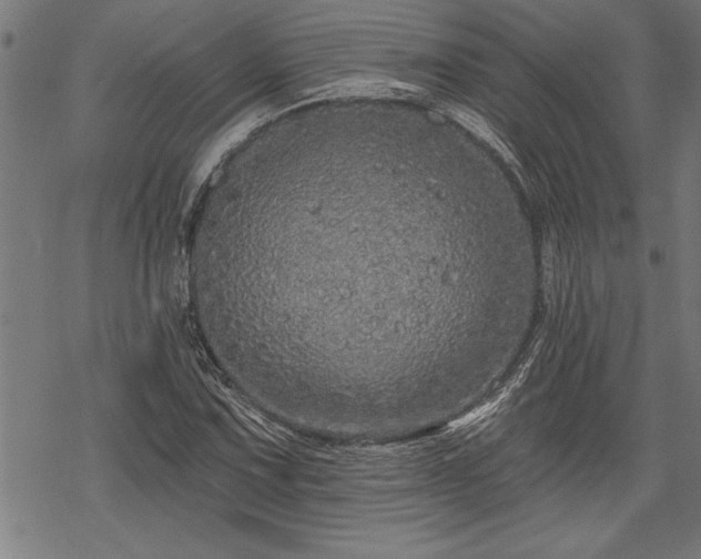 X0000069791067200605221109