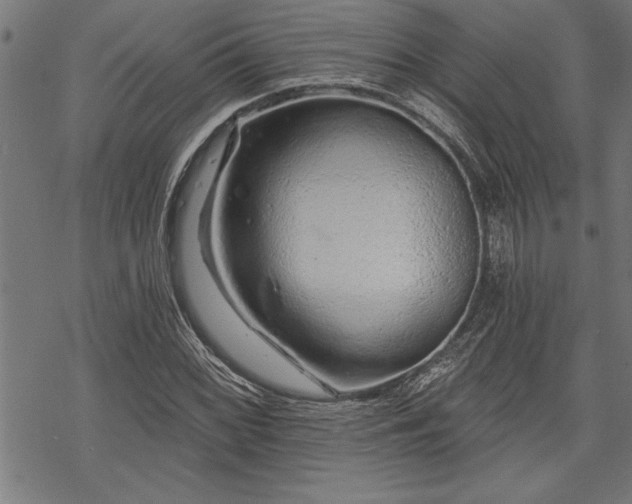 X0000069791068200605221109