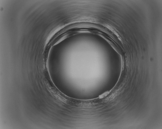 X0000069791069200605221109