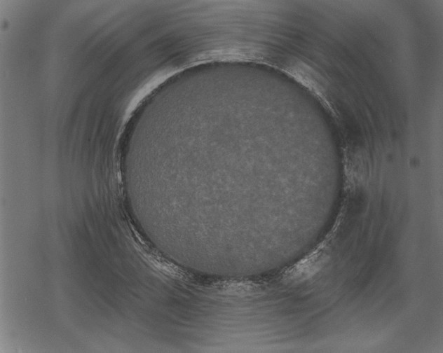 X0000069791070200605221109