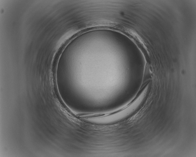 X0000069791072200605221109