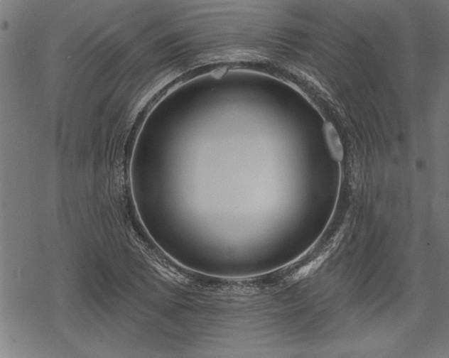 X0000069791073200605221109