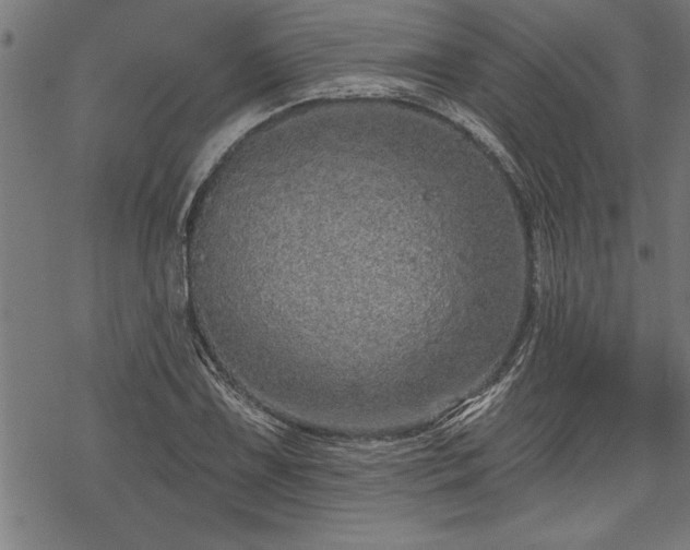 X0000069791075200605221109