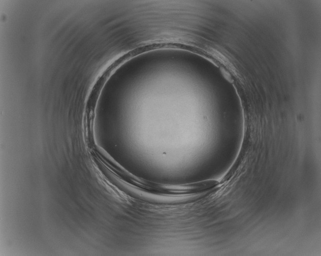 X0000069791076200605221109