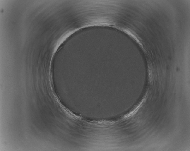 X0000069791077200605221109