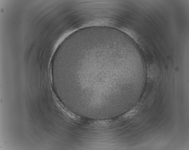 X0000069791078200605221109