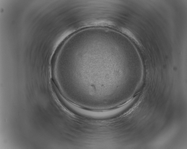 X0000069791079200605221109