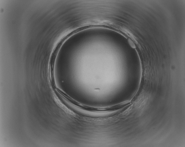 X0000069791080200605221109