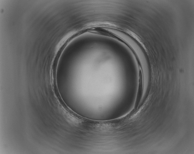 X0000069791082200605221108