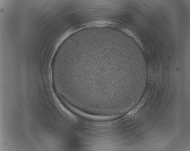 X0000069791083200605221108