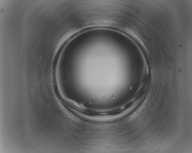 X0000069791085200605221108