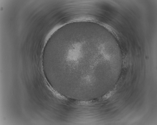 X0000069791086200605221108