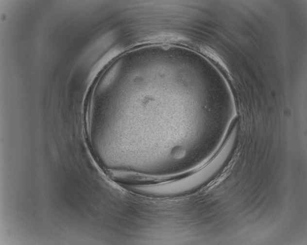 X0000069791087200605221108