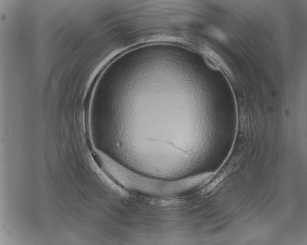 X0000069791092200605221108