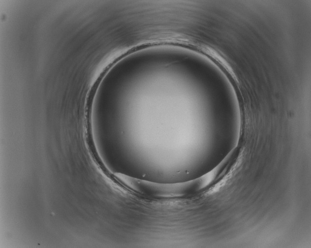 X0000069791093200605221108