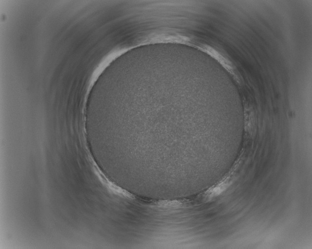 X0000069791094200605221108