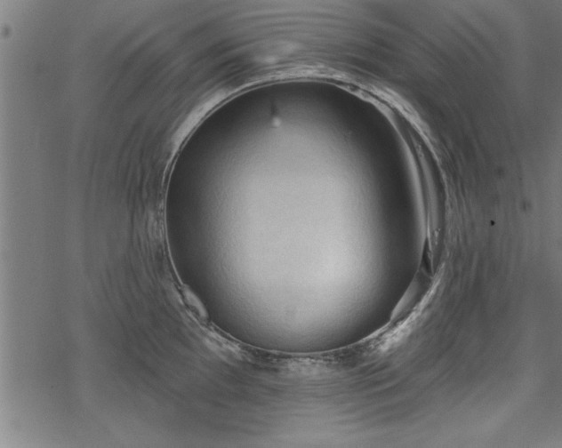 X0000069791097200605221108