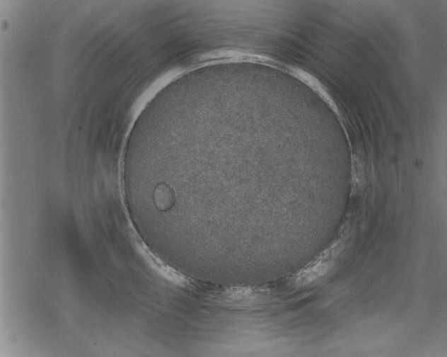 X0000069791098200605221108