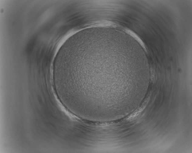 X0000069791099200605221108