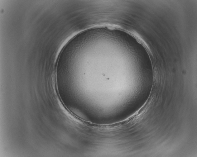 X0000069791100200605221108