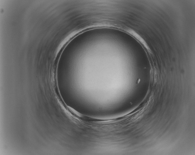 X0000069791101200605221108