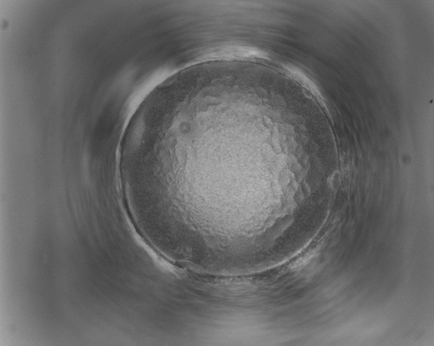 X0000069791103200605221108