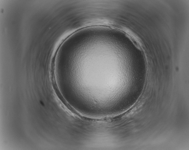 X0000069791104200605221108