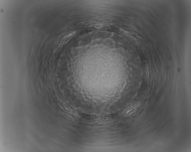 X0000069791105200605221107