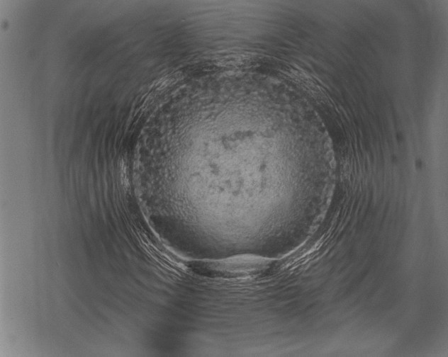 X0000069791106200605221107