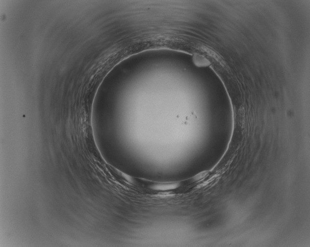 X0000069791111200605221107