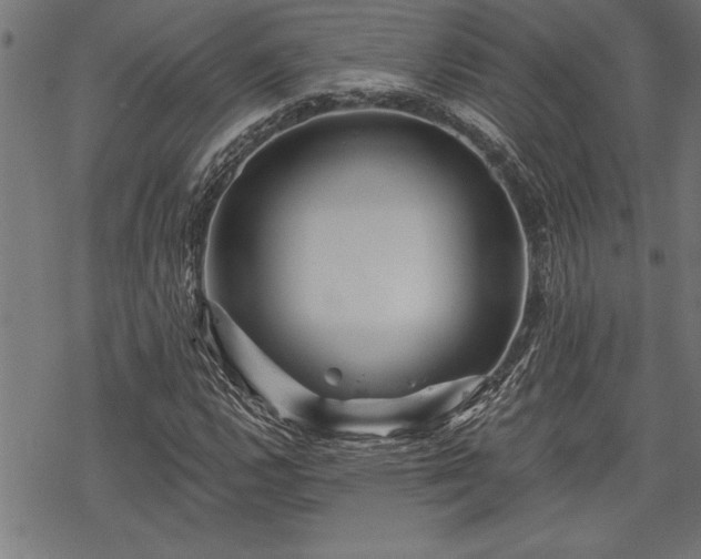 X0000069791112200605221107