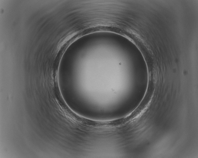 X0000069791113200605221107