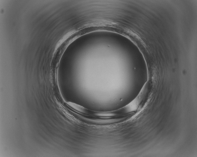 X0000069791114200605221108