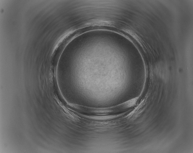 X0000069791115200605221108