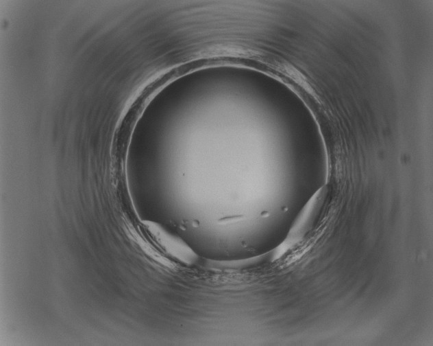 X0000069791116200605221108