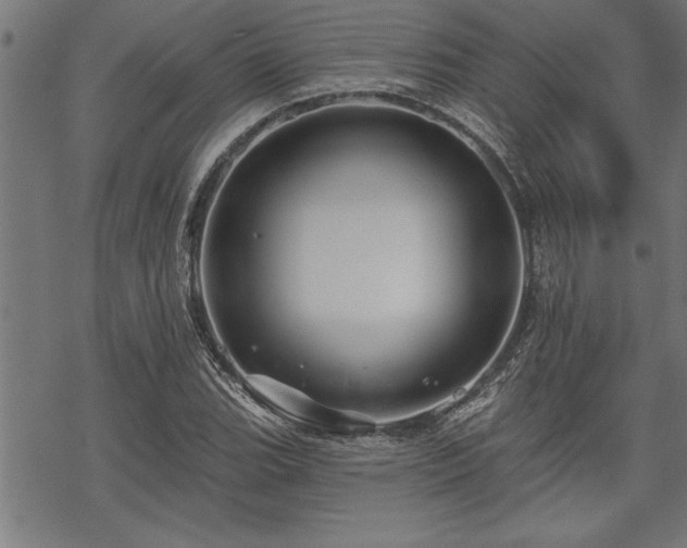 X0000069791119200605221108