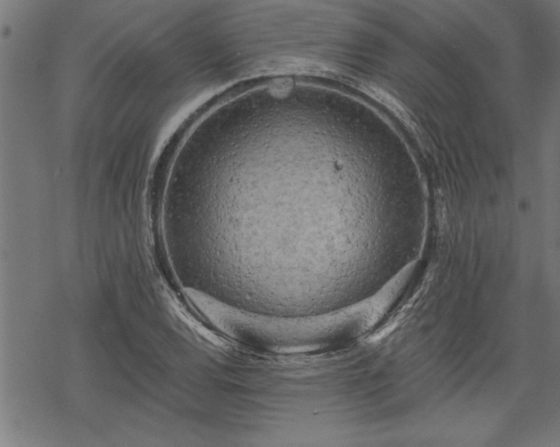 X0000069791120200605221108