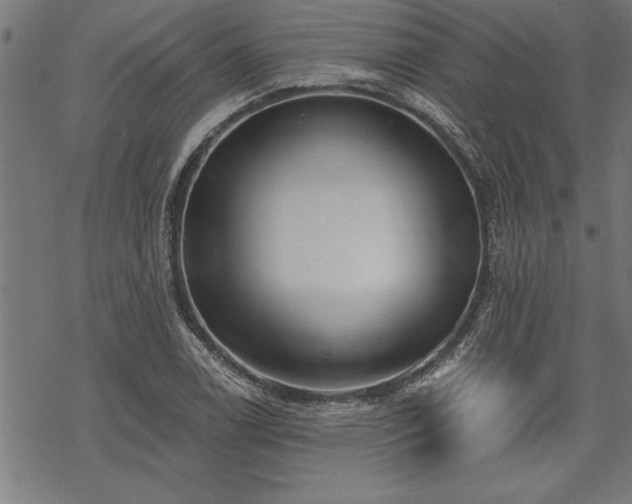 X0000069791122200605221108