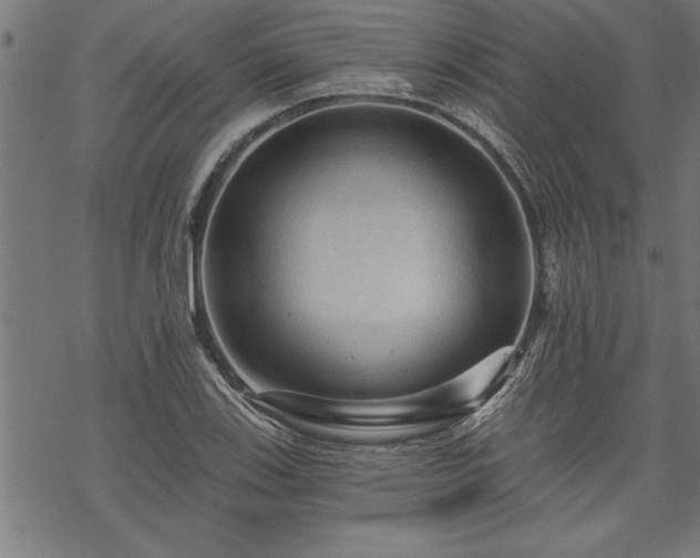 X0000069791123200605221108