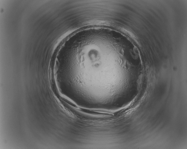 X0000069791125200605221108