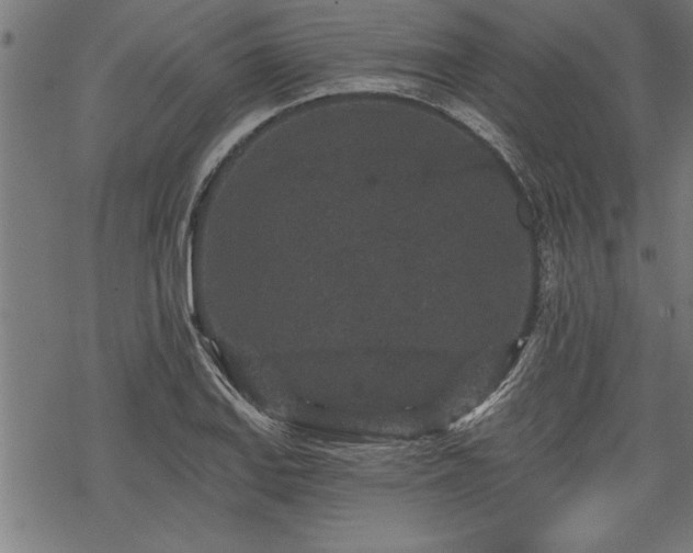 X0000069791127200605221108