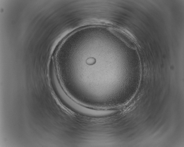 X0000069791128200605221108