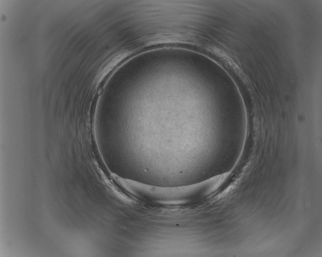 X0000069791129200605221108