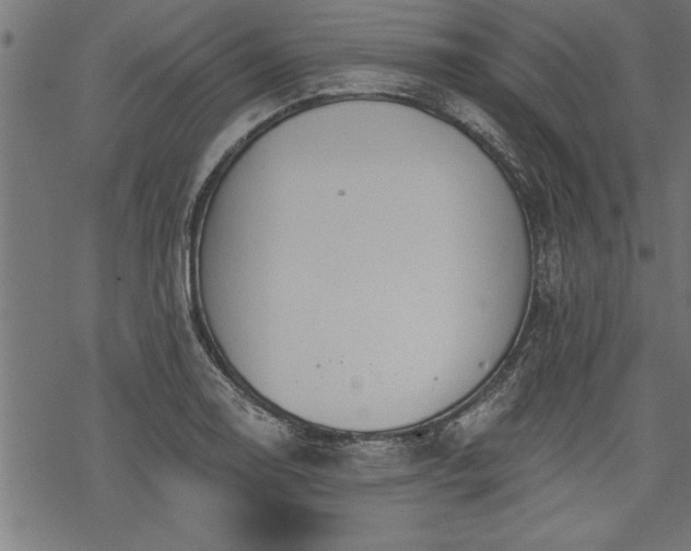 X0000069791130200605221108