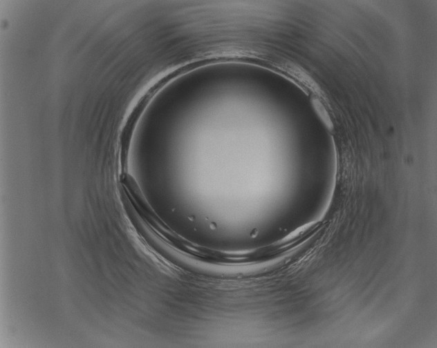 X0000069791132200605221108