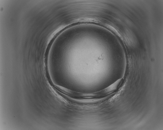 X0000069791133200605221108