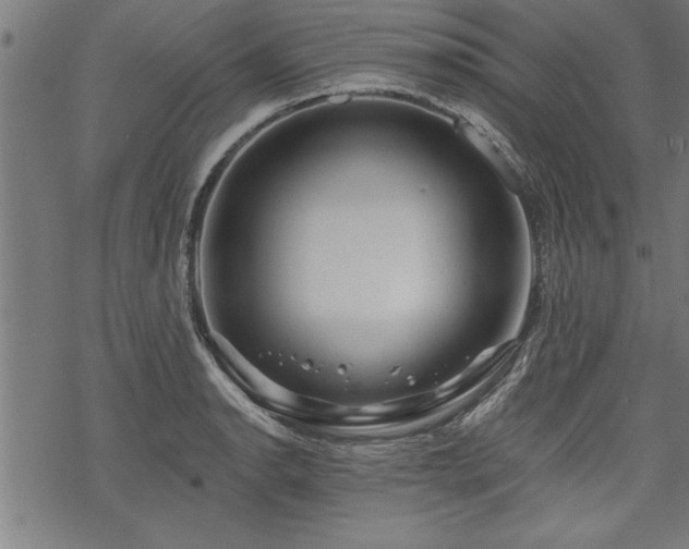 X0000069791134200605221108