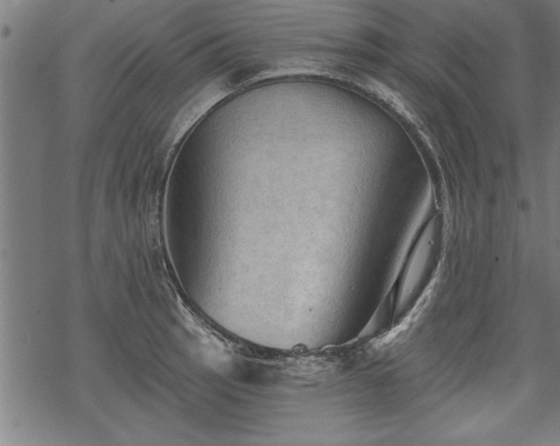 X0000069791137200605221108