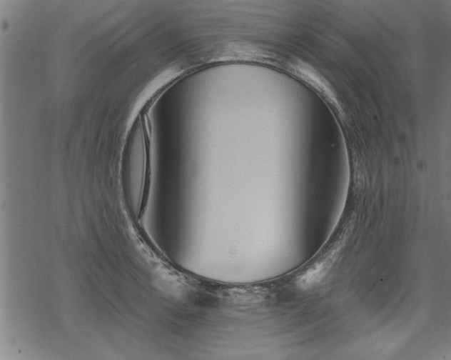 X0000069791138200605221108