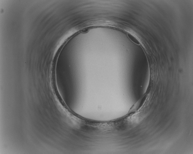 X0000069791139200605221108